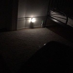 Meet your Posher, Austin